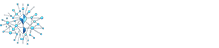 Crypto News